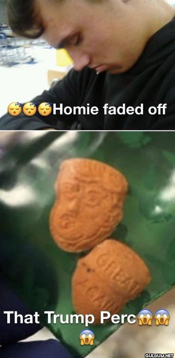 Homie faded off That Trump Perc