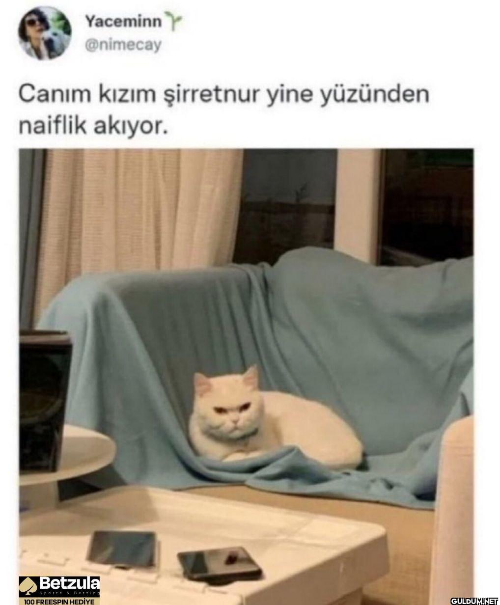 Canım kızım şirretnur yine...