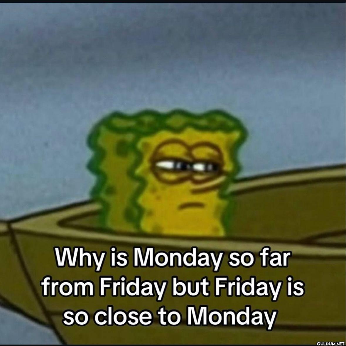 Why is Monday so far from...