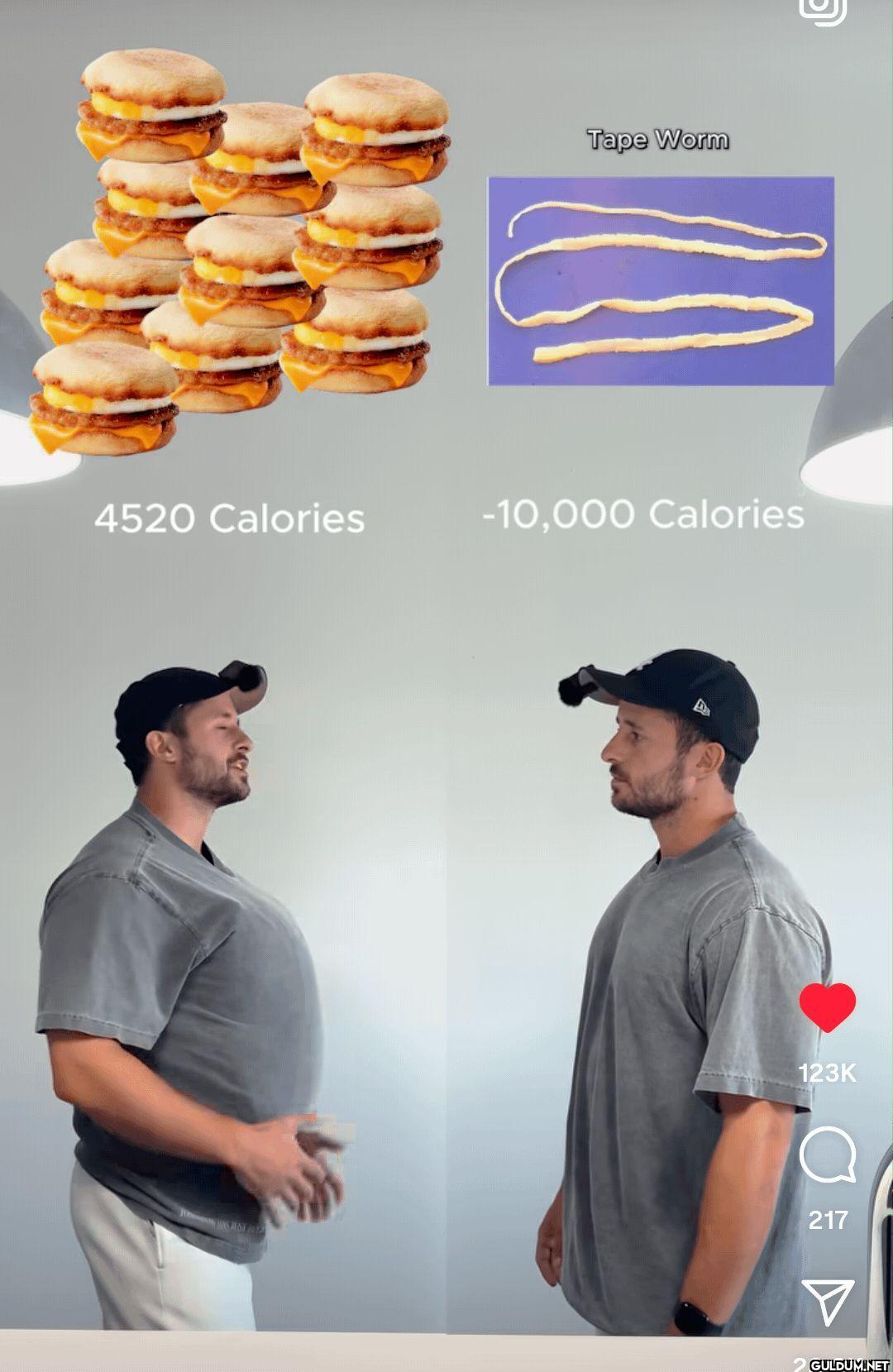 Tape Worm 5 4520 Calories...
