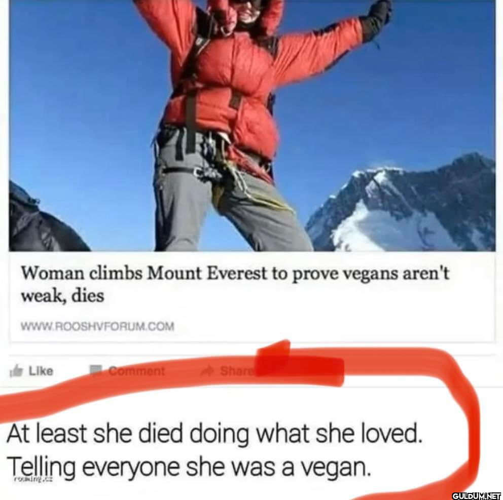 Woman climbs Mount Everest...