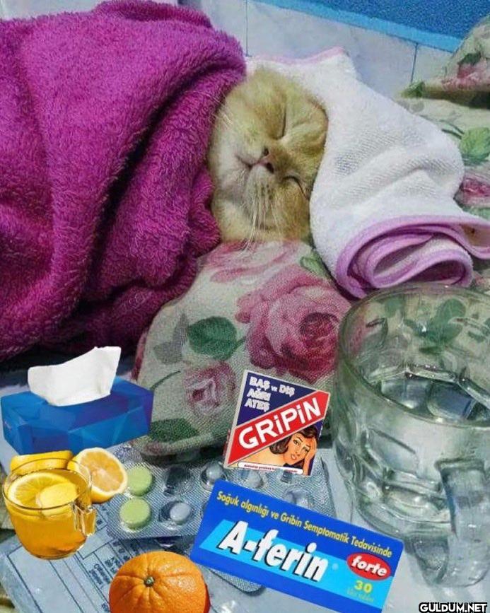 cate w BAS DIS A ATE...