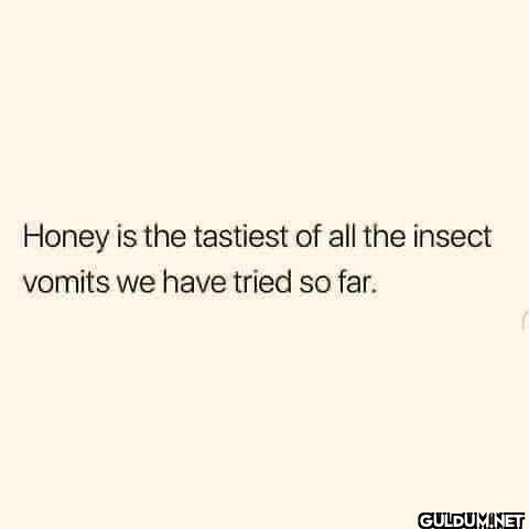 Honey is the tastiest of...