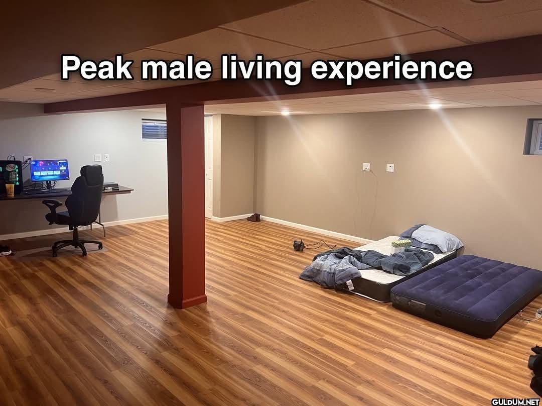 Peak male living experience