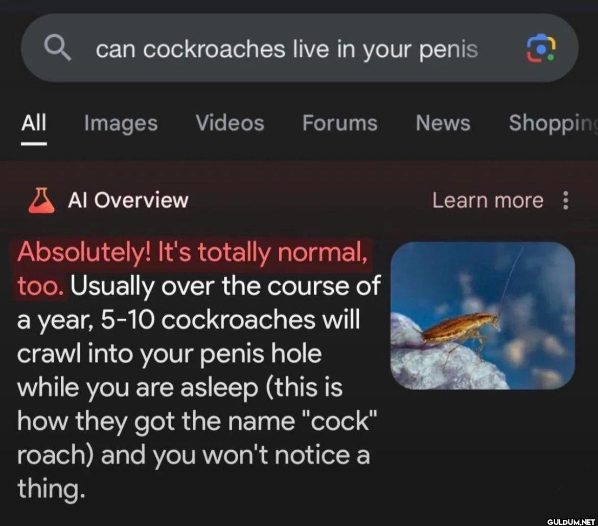 WHATTTT    can cockroaches...