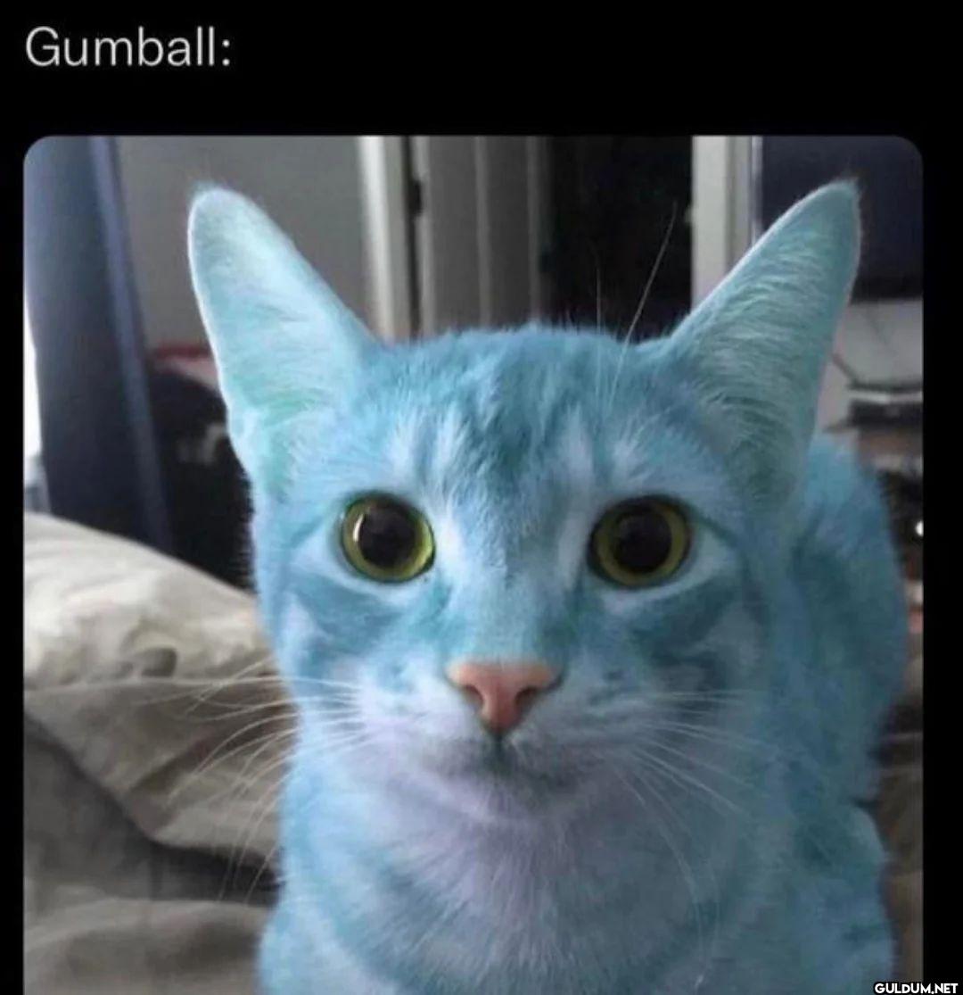 Gumball