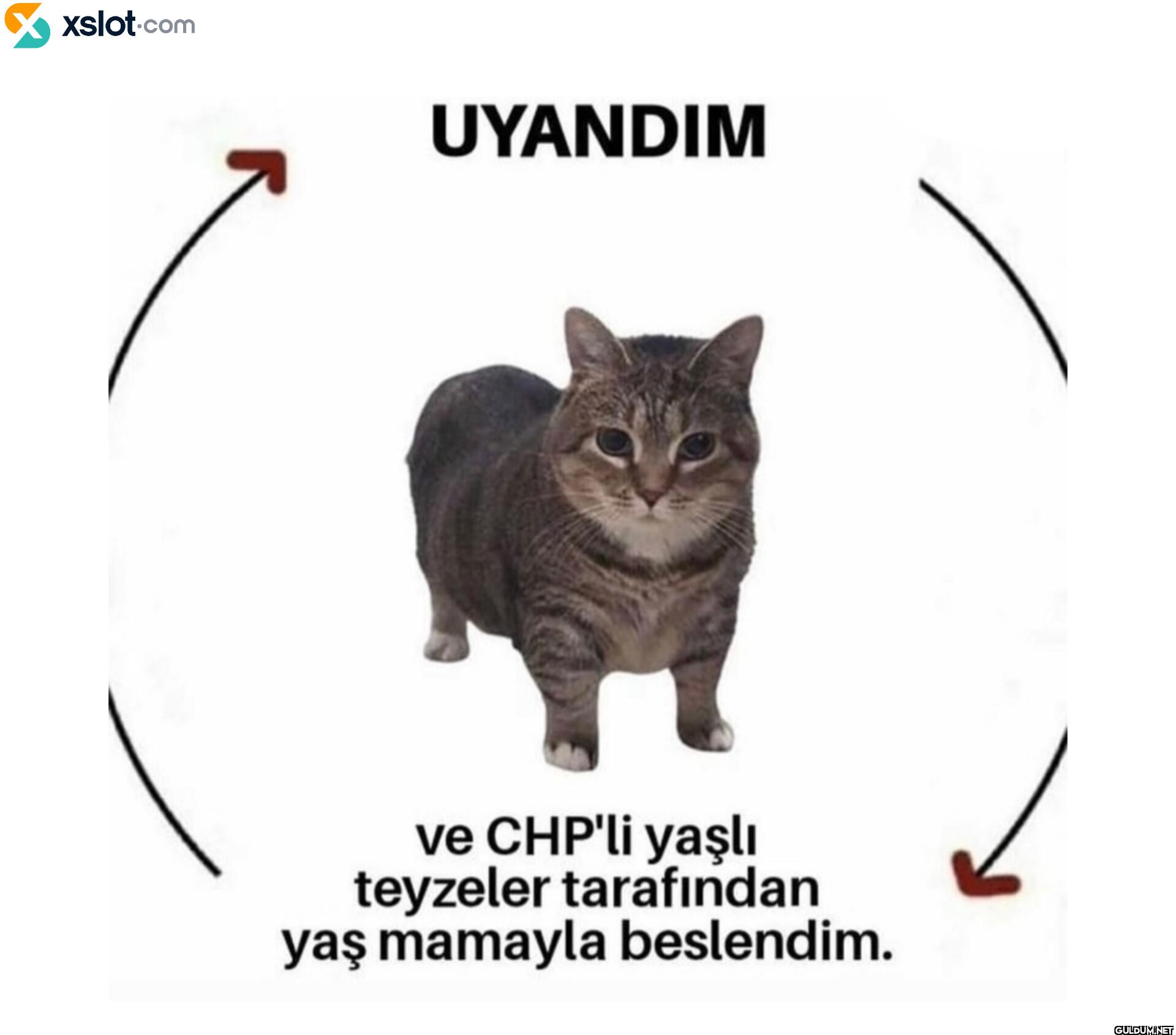 ☑ xslot.com UYANDIM ve...