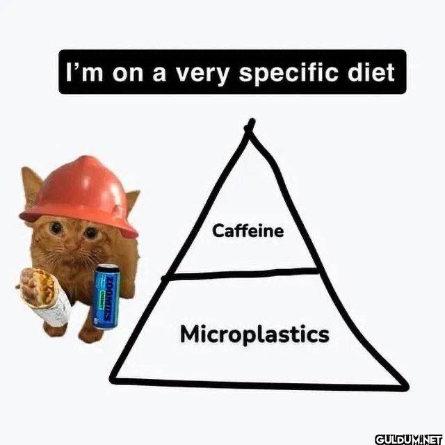 I'm on a very specific...