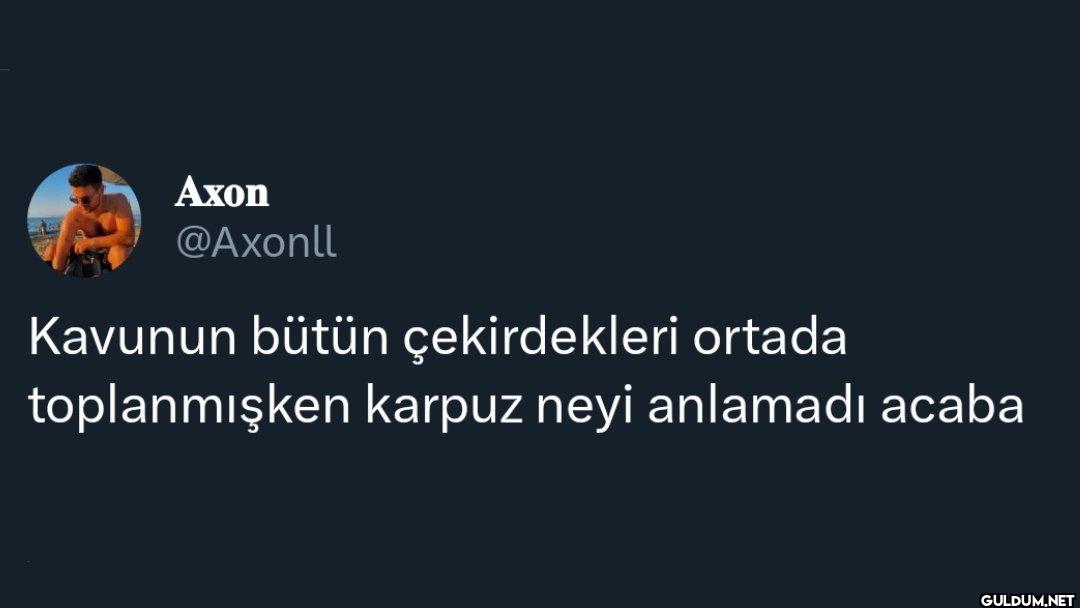 Kavunun bütün çekirdekleri...