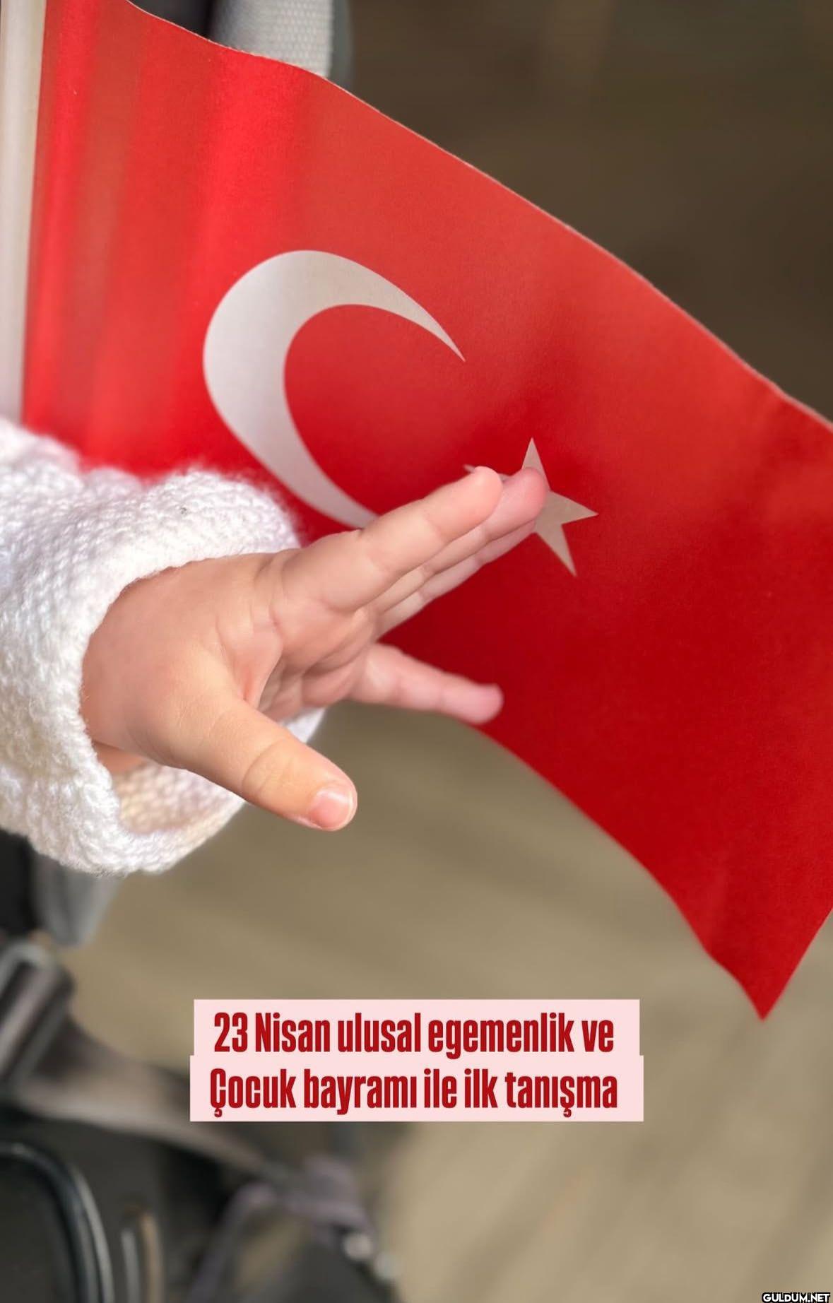 İrem Helvacıoğlu'nun 23...