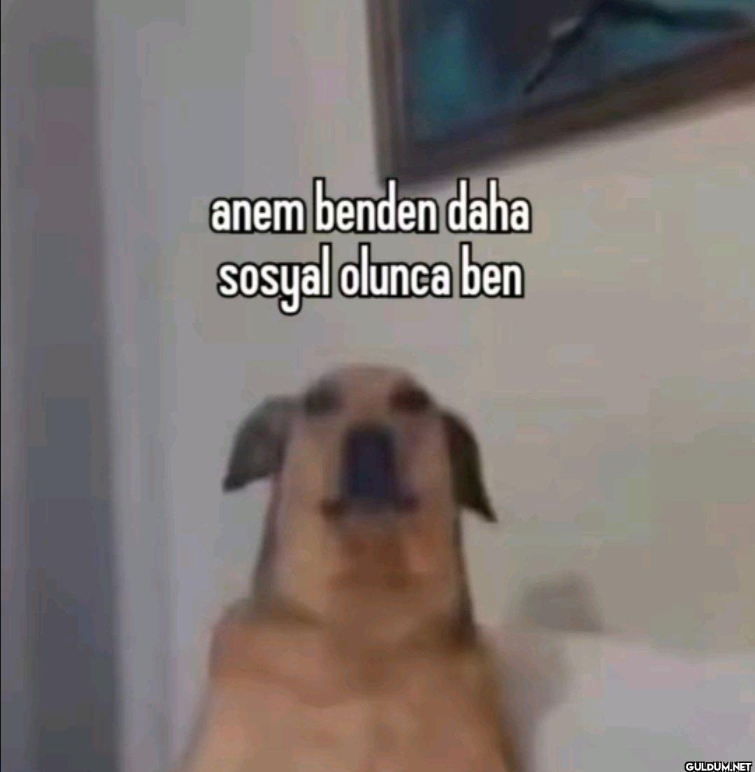 anem benden daha sosyal olunca ben