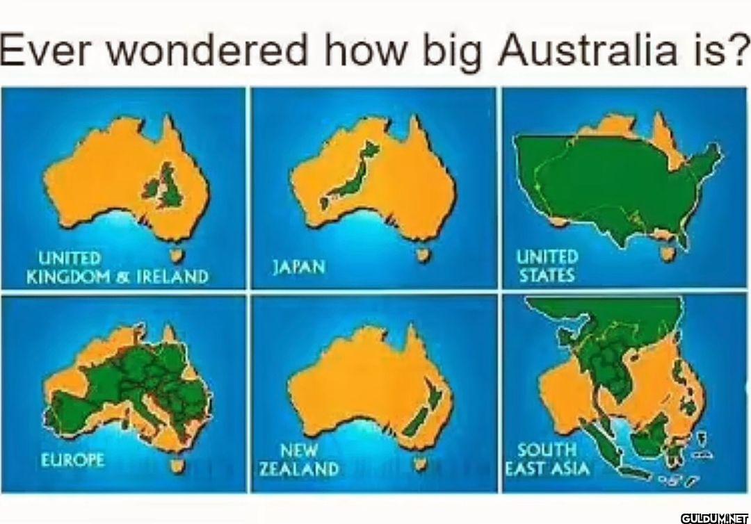 Look at this interesting 🧐...