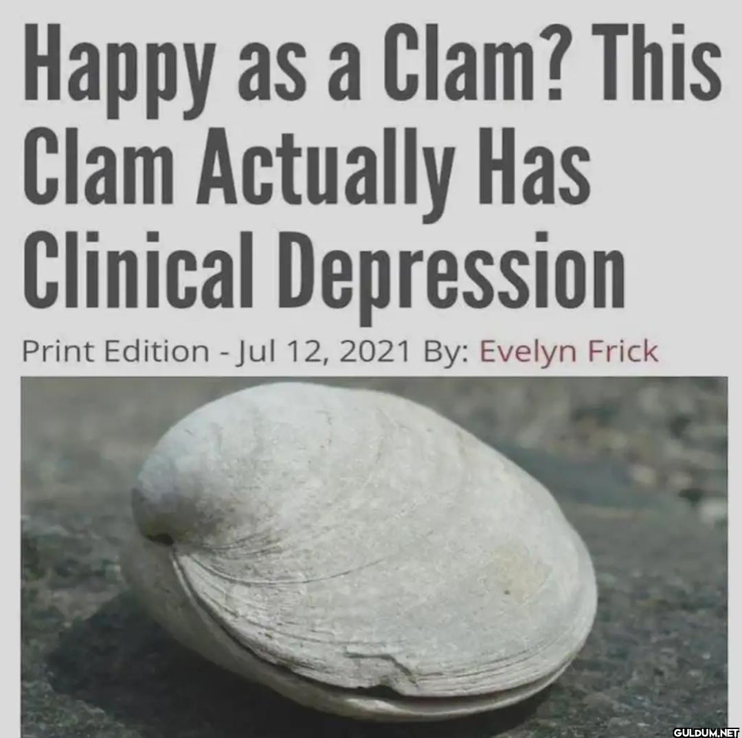 Happy as a Clam? This Clam...