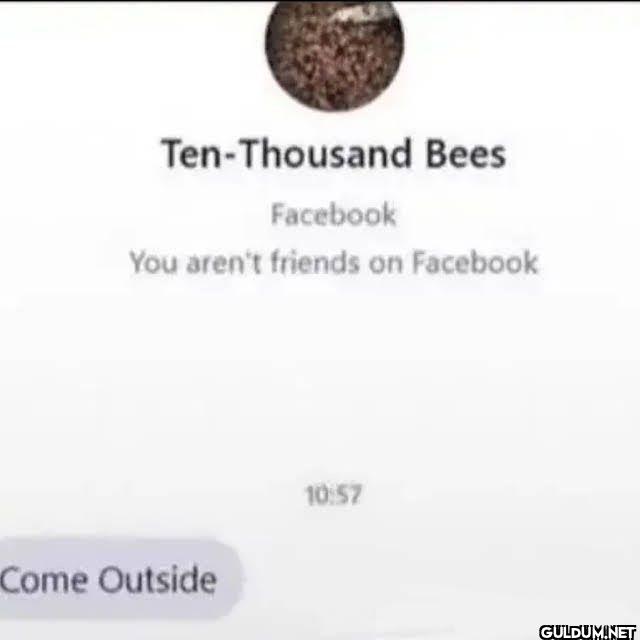 Ten-Thousand Bees Facebook...