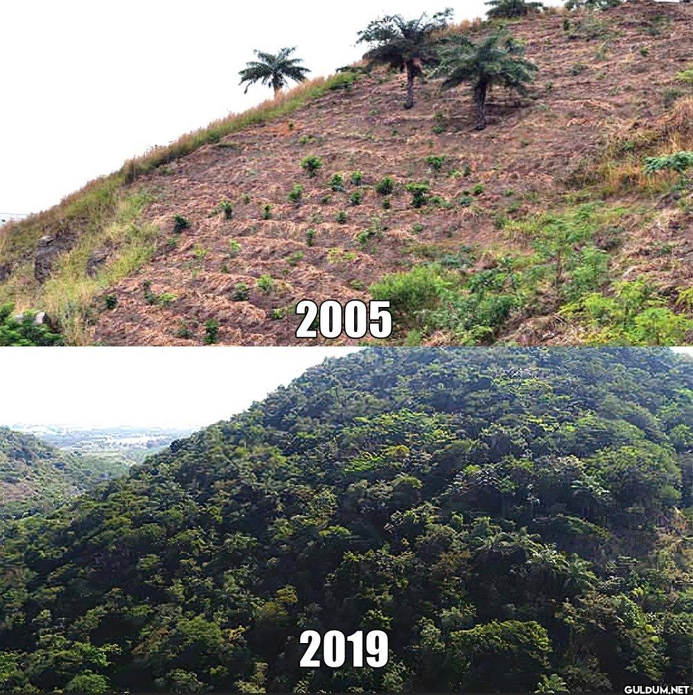 2005 vs 2019    2005 2019