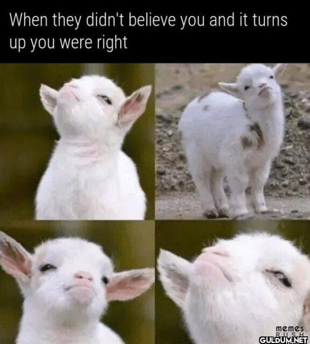 Accurate.    When they...