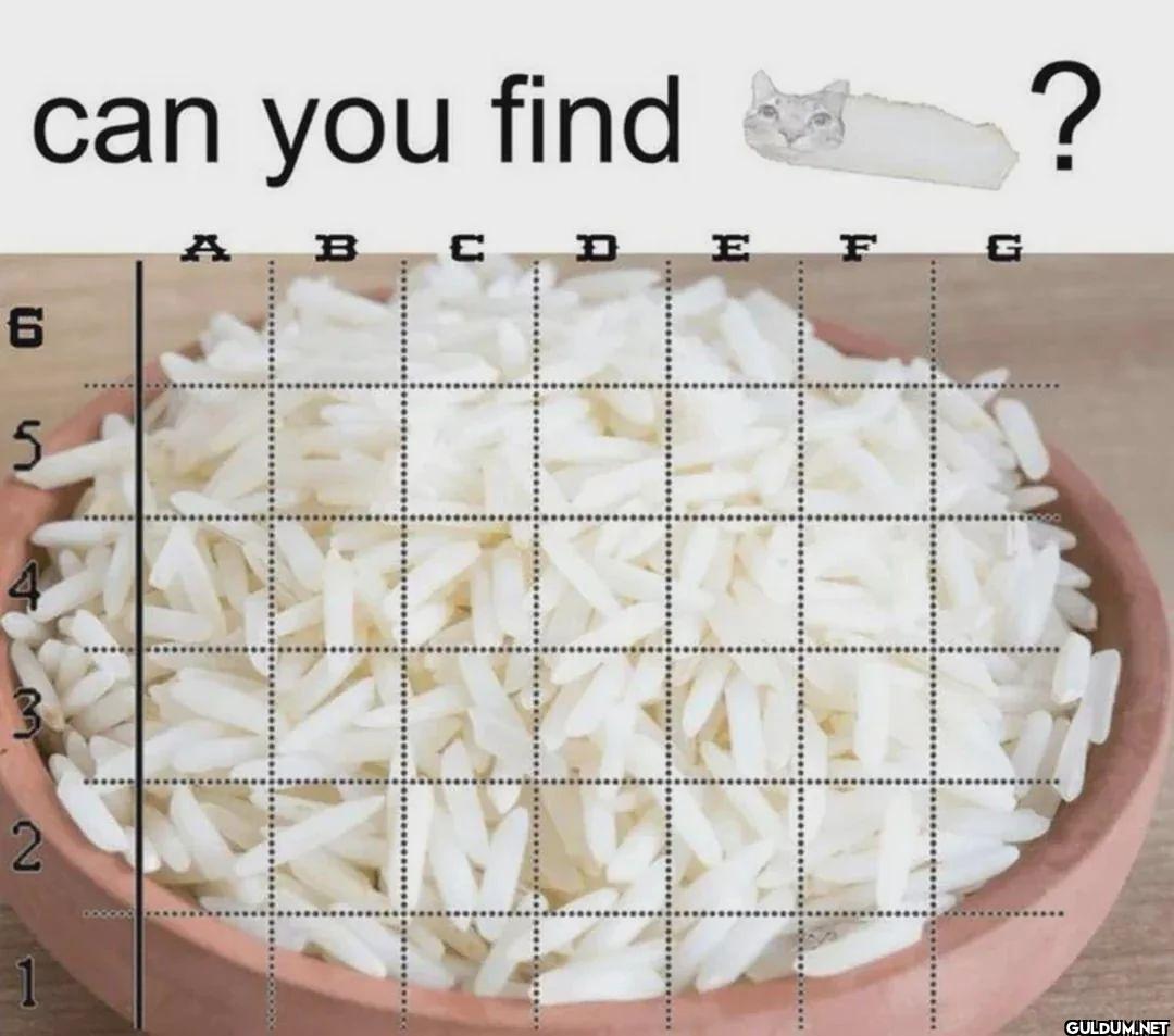 can you find A B C D E F G...