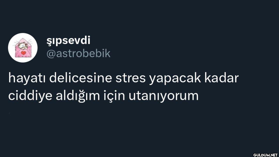 hayatı delicesine stres...