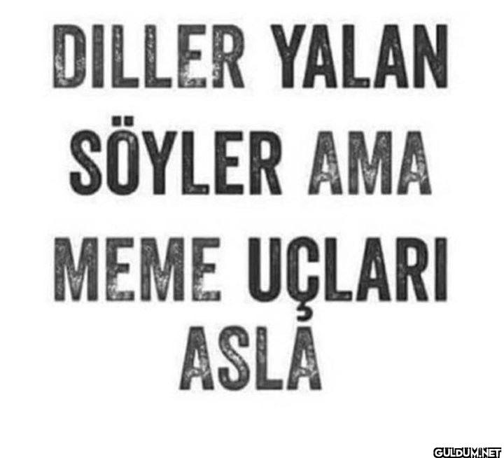 DILLER YALAN SÖYLER AMA...
