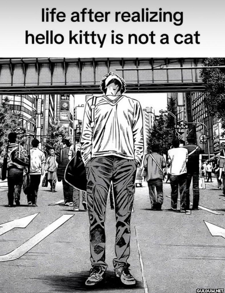 life after realizing hello...