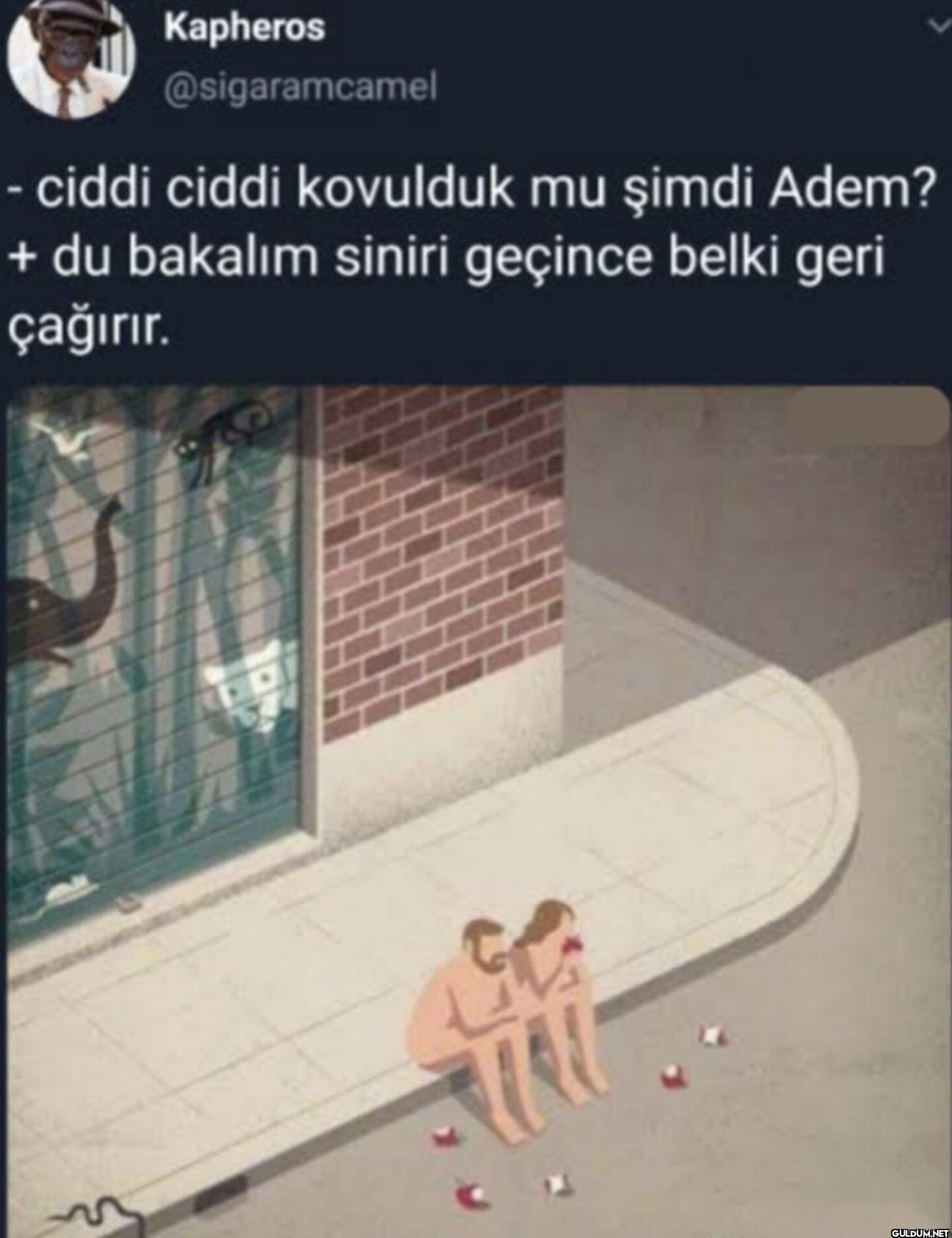 - ciddi ciddi kovulduk mu...