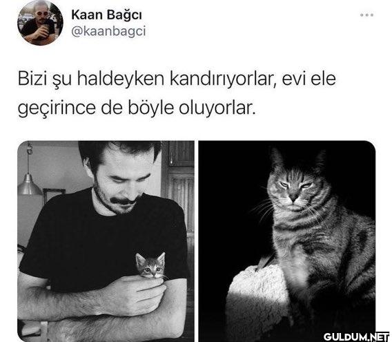 Bizi şu haldeyken...