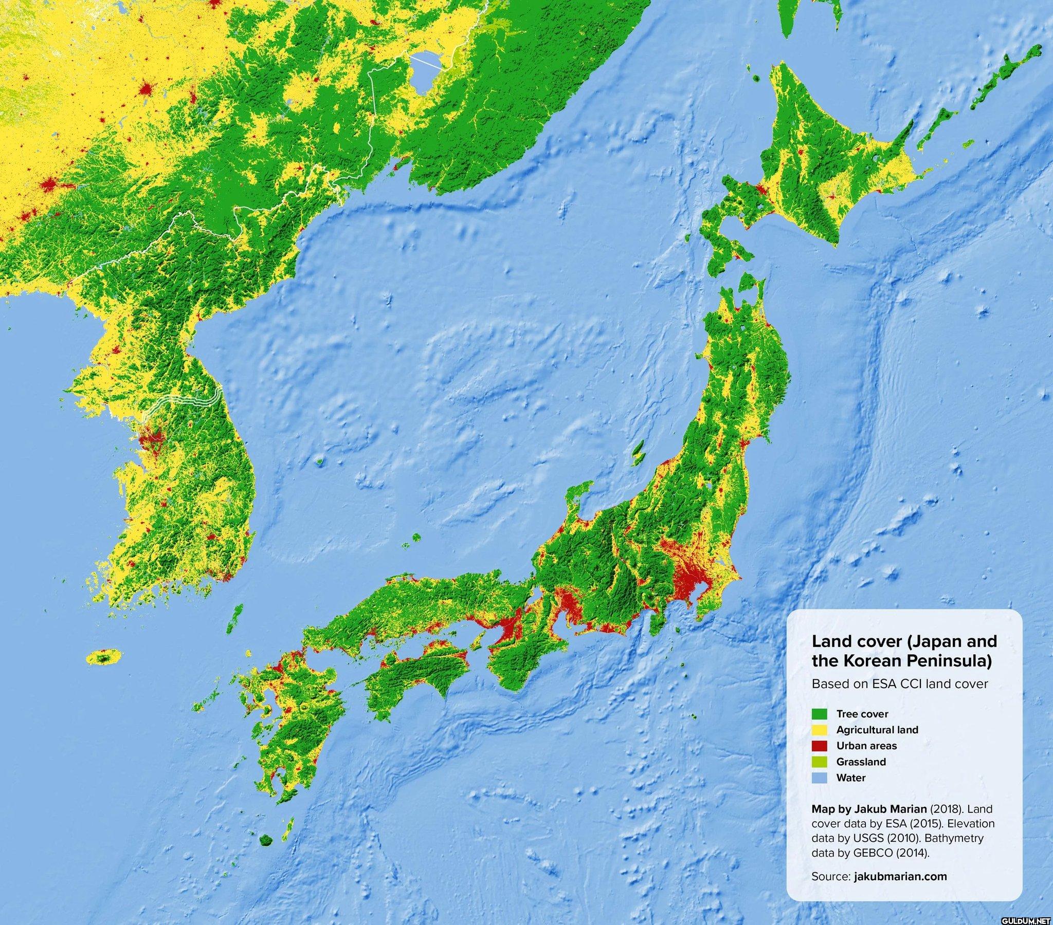 How did Japan manage to...