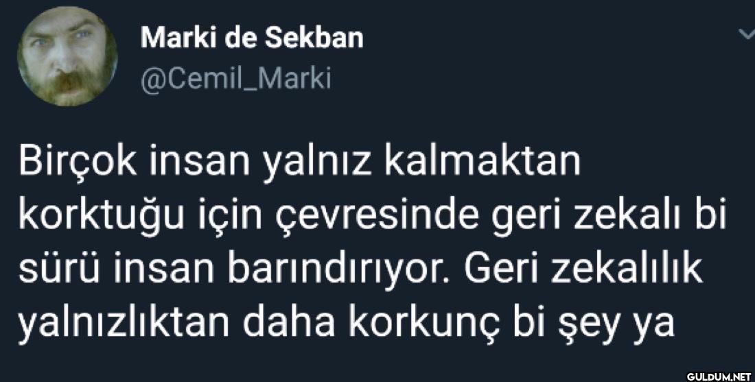 Birçok insan yalnız...