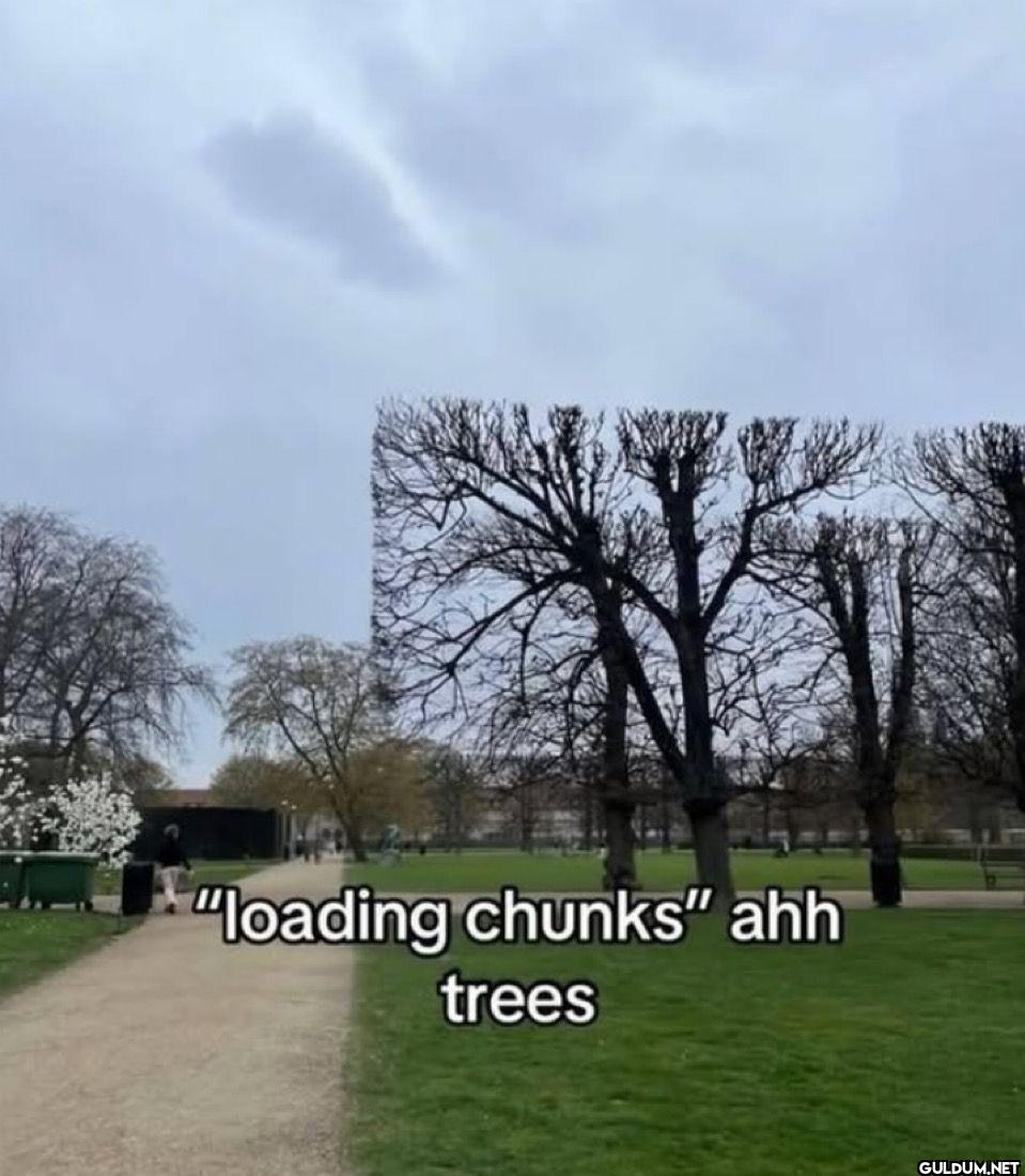 loading chunks ahh trees