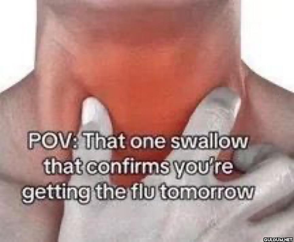 POV That one swallow that...
