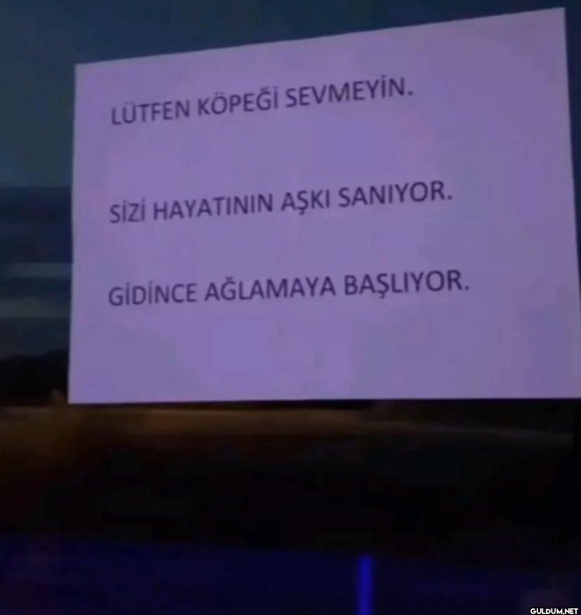 LÜTFEN KÖPEĞİ SEVMEYİN....