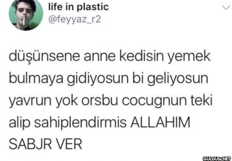 düşünsene anne kedisin...