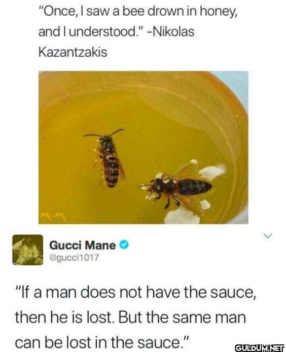 "Once, I saw a bee drown...