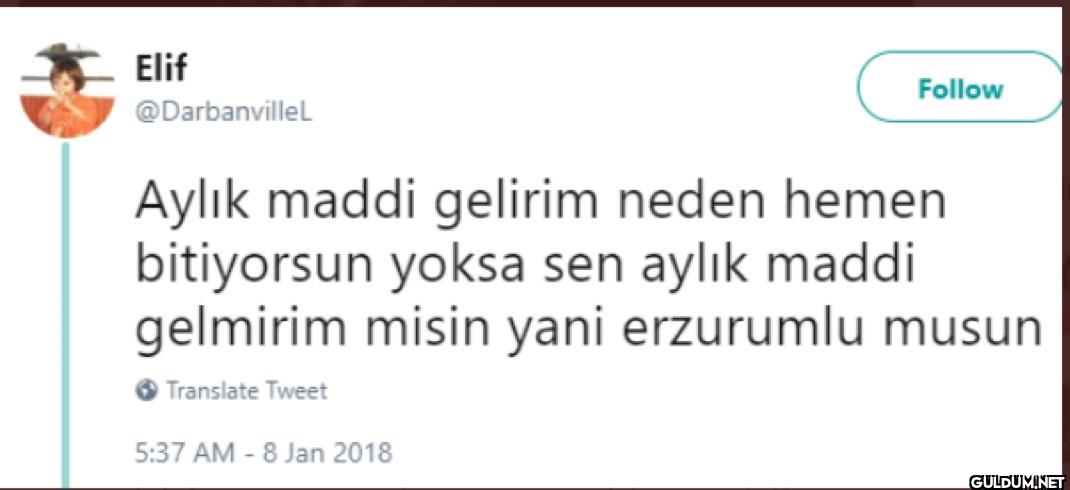 Follow Aylık maddi gelirim...