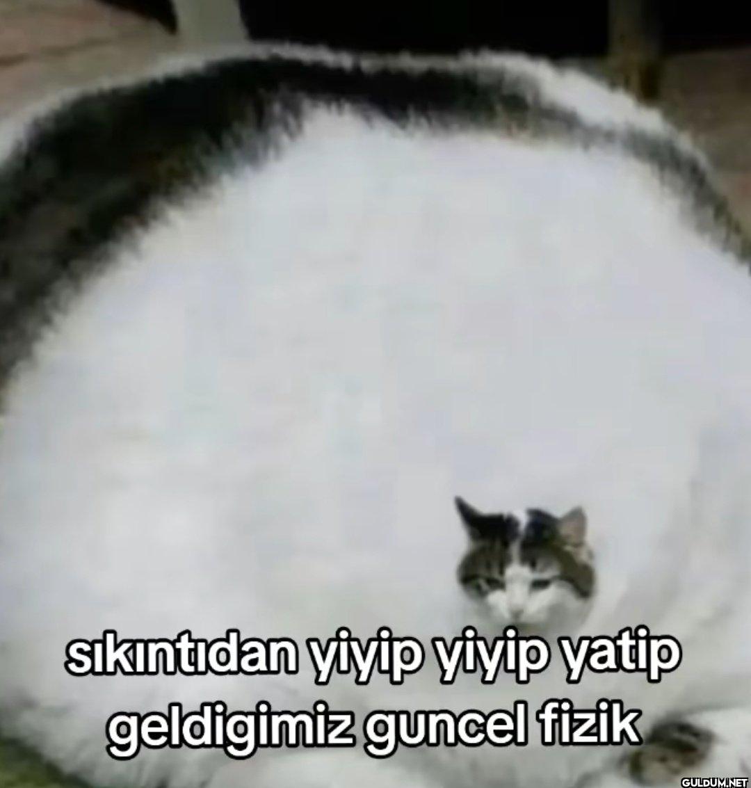 sıkıntıdan yiyip yiyip...