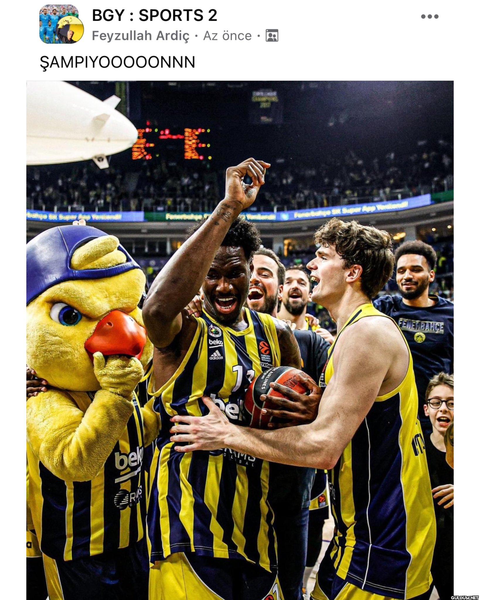 Türkiye Sigorta Basketbol...