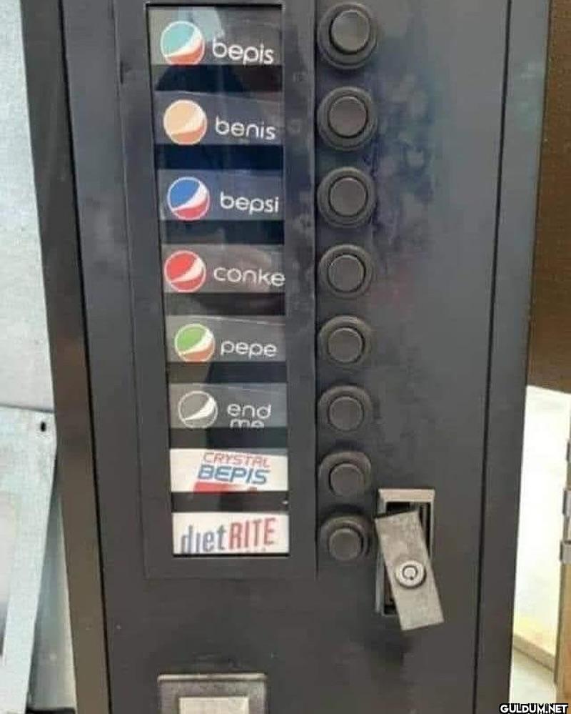 ︎ ︎ ︎ ︎ ︎    bepis benis...