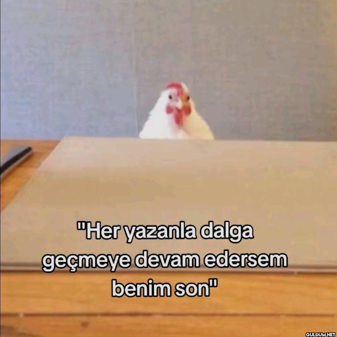 "Her yazanla dalga geçmeye...