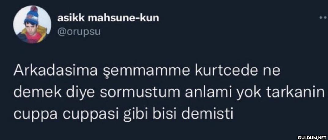 Arkadasima şemmamme...