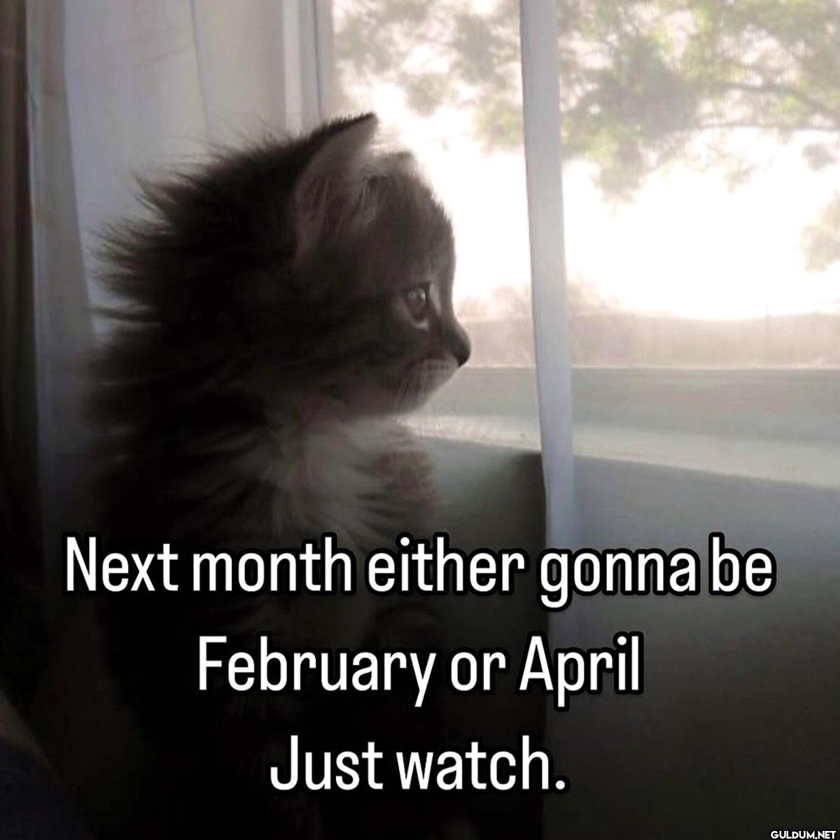 Next month either gonna be...