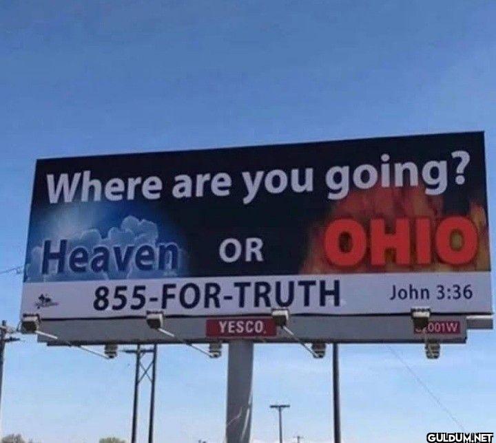 Where are you going?...