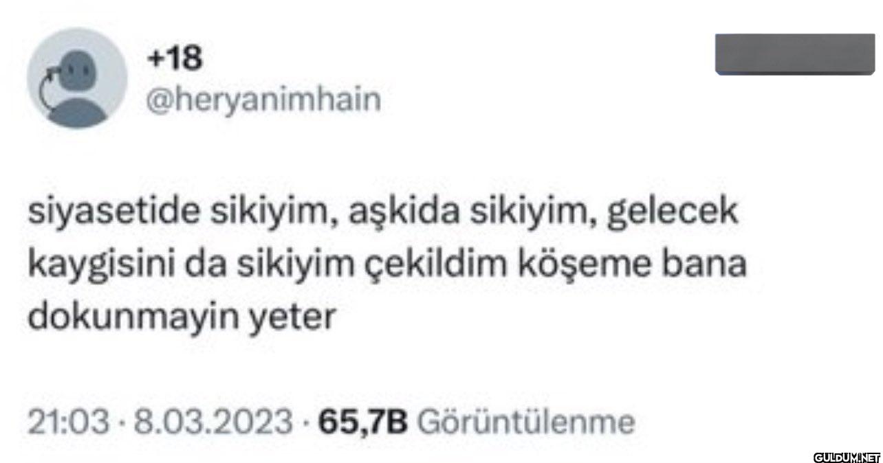 siyasetide sikiyim, aşkida...