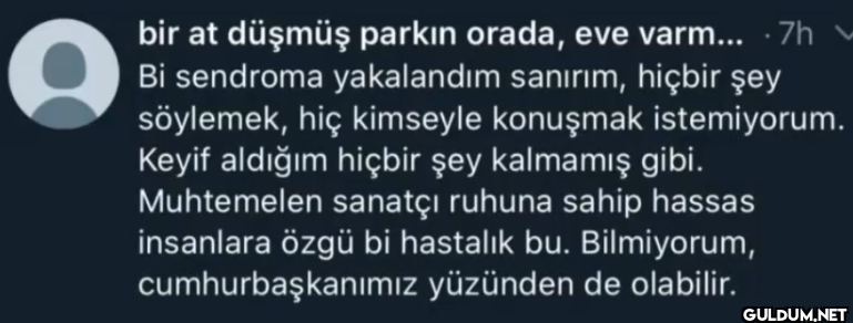 bir at düşmüş parkın...