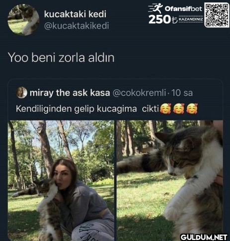 Ofansifbet kucaktaki kedi...