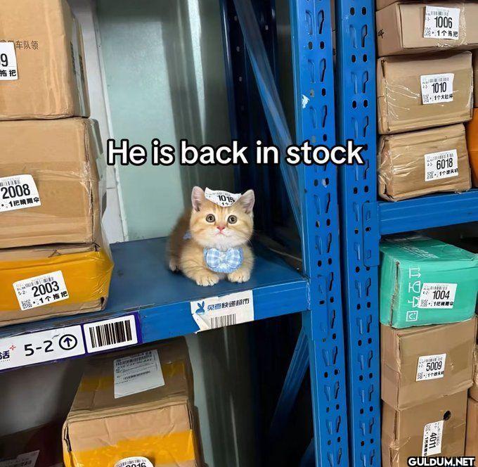 He is back in stock