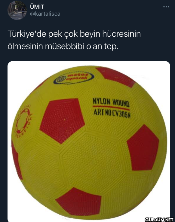 Türkiye'de pek çok beyin...