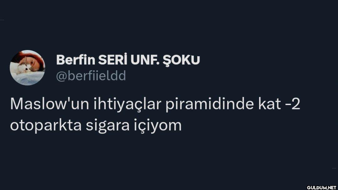 Maslow'un ihtiyaçlar...