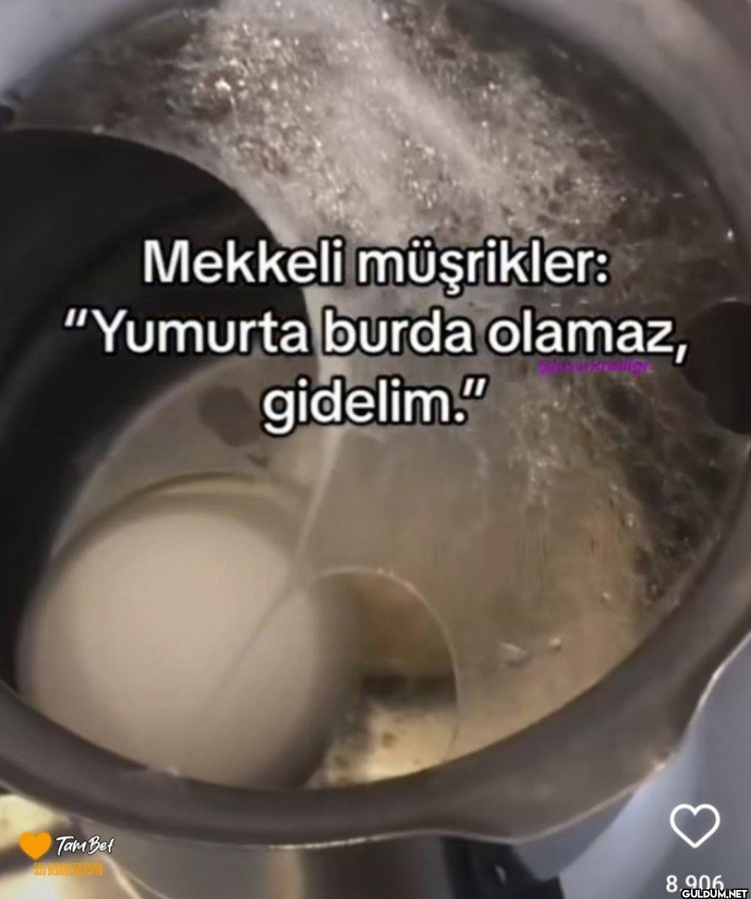 Mekkeli müşrikler:...