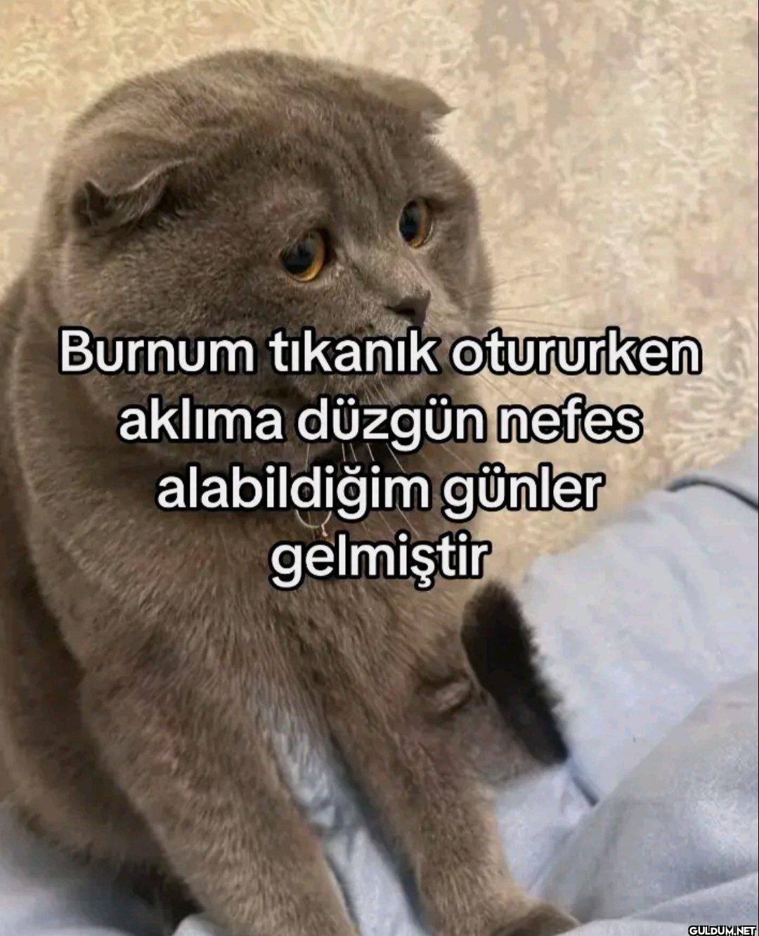 Burnum tıkanık otururken...
