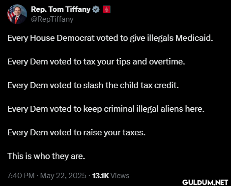 Every House Democrat voted...